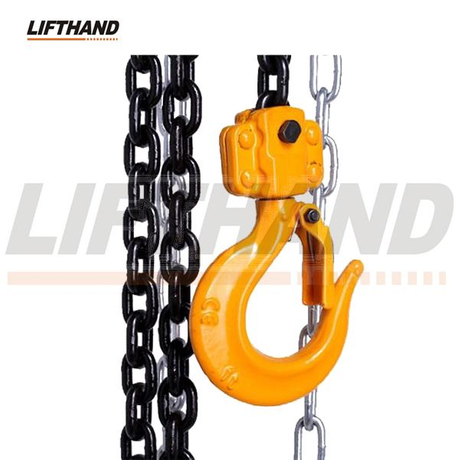 Hoist Hook with Latch for Chain Hoist