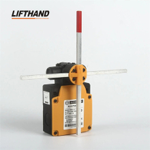 XLS-P54D-PP Limit Switch with Rotating head and Cross Lever